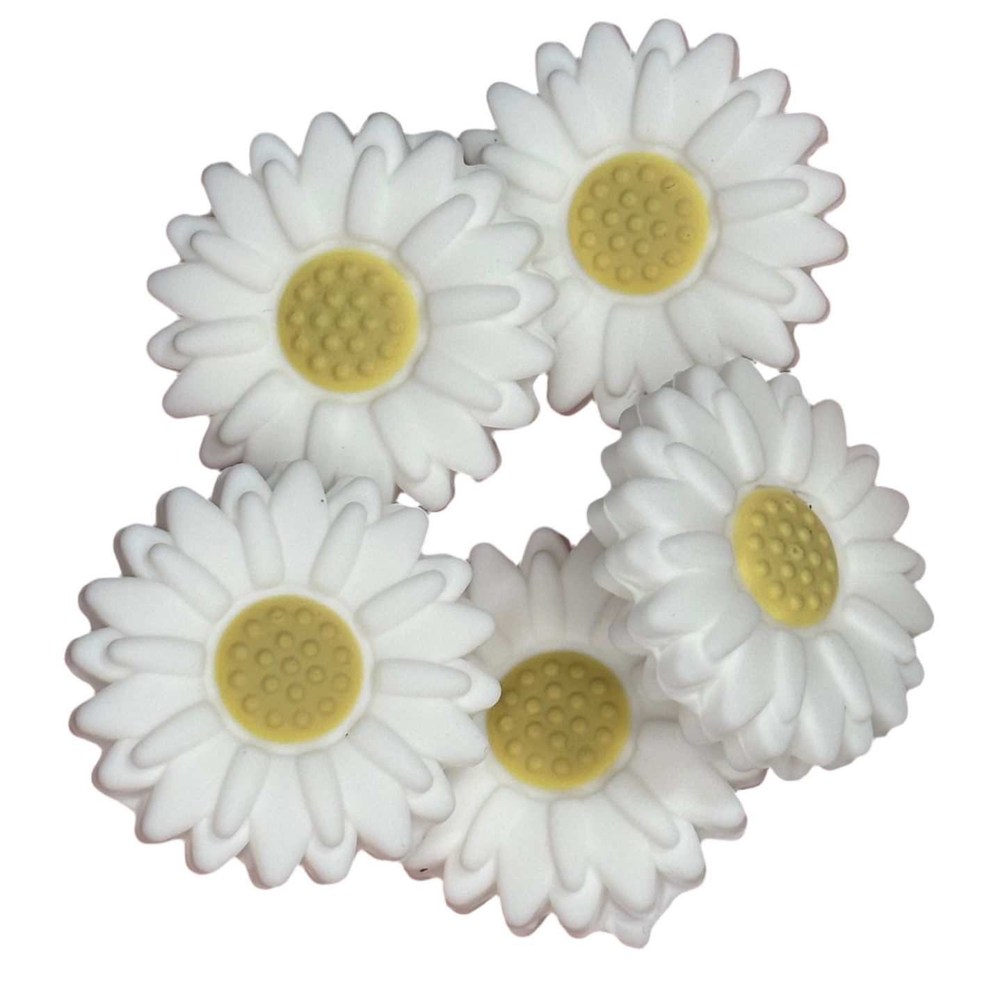 Daisy Focal