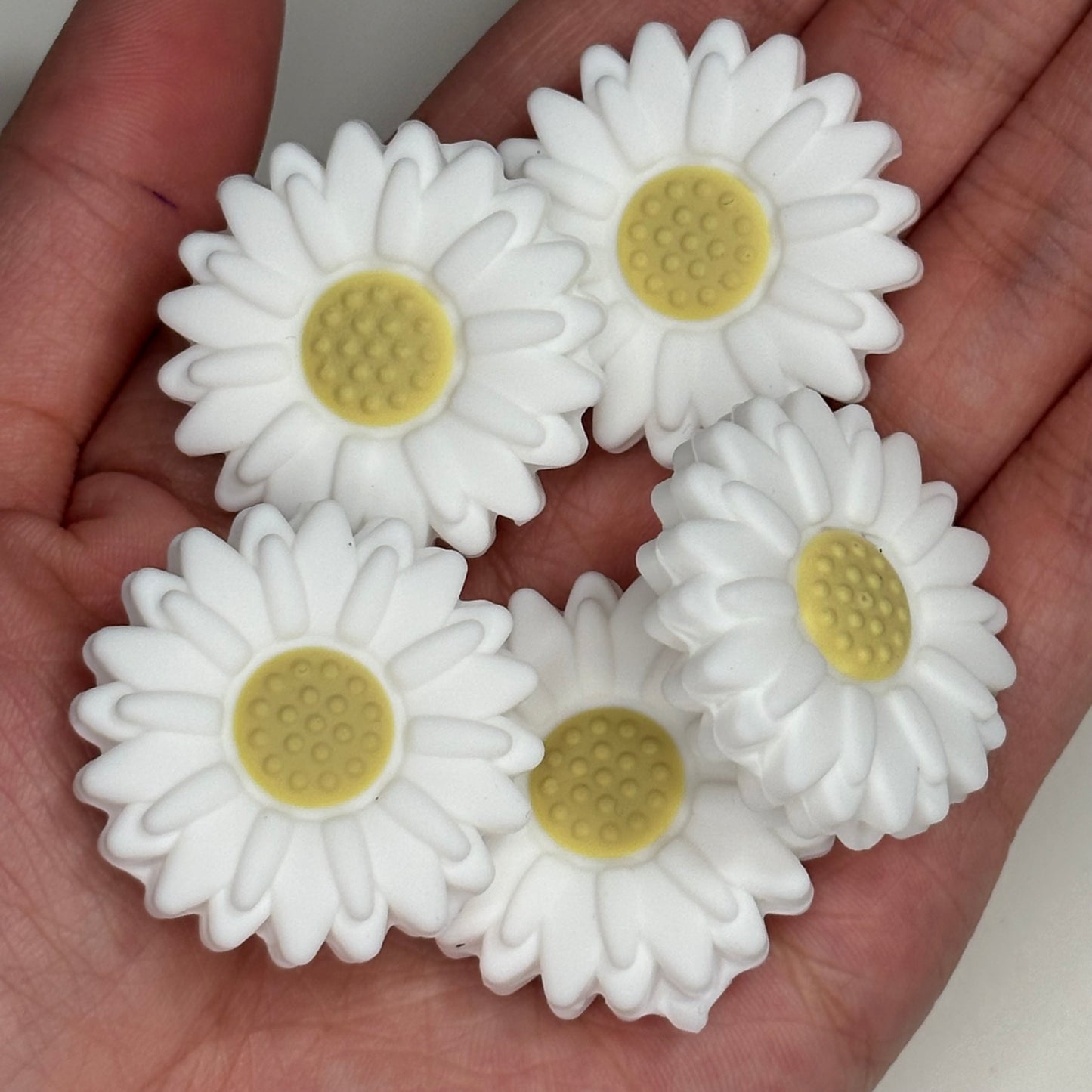 Daisy Focal